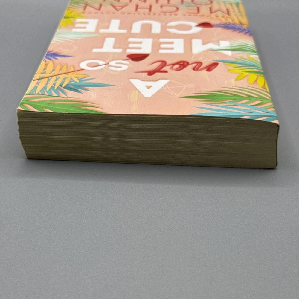 A Not So Meet‎ Cute (Cane Brothers, 1) - Paperback By Quinn, Meghan